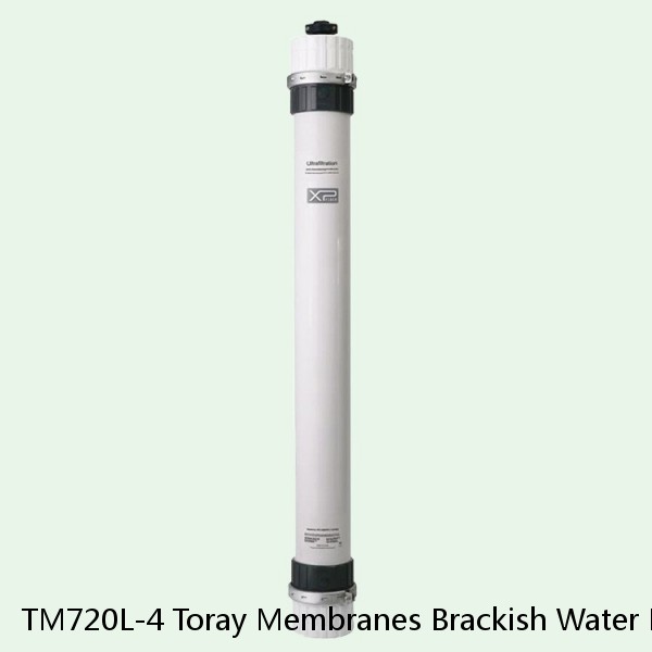 TM720L-4 Toray Membranes Brackish Water Reverse Osmosis Element #1 image