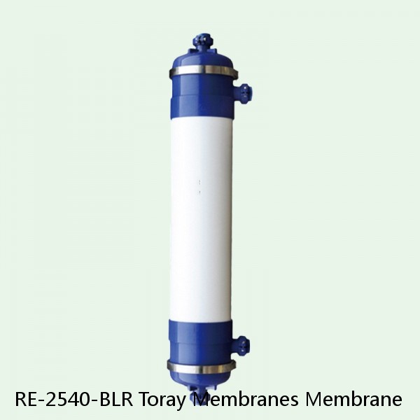 RE-2540-BLR Toray Membranes Membrane #1 image