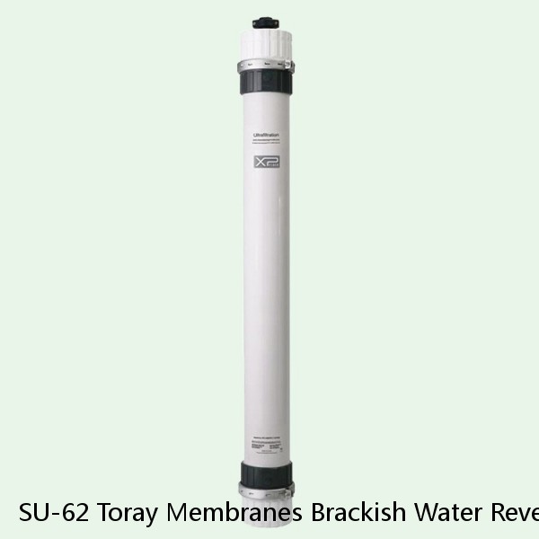 SU-62 Toray Membranes Brackish Water Reverse Osmosis Element #1 image