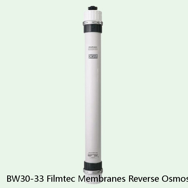BW30-33 Filmtec Membranes Reverse Osmosis Element #1 image