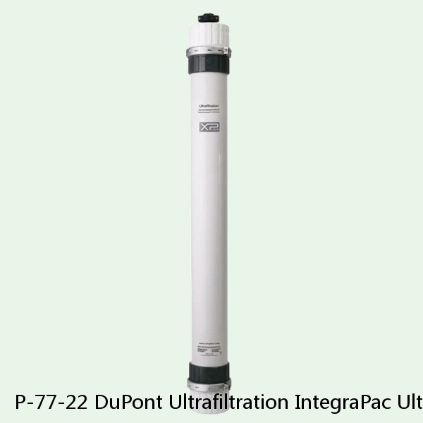 P-77-22 DuPont Ultrafiltration IntegraPac Ultrafiltration Skid #1 image
