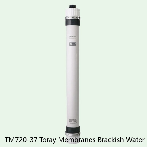 TM720-37 Toray Membranes Brackish Water Reverse Osmosis Element #1 image