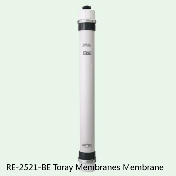 RE-2521-BE Toray Membranes Membrane #1 image