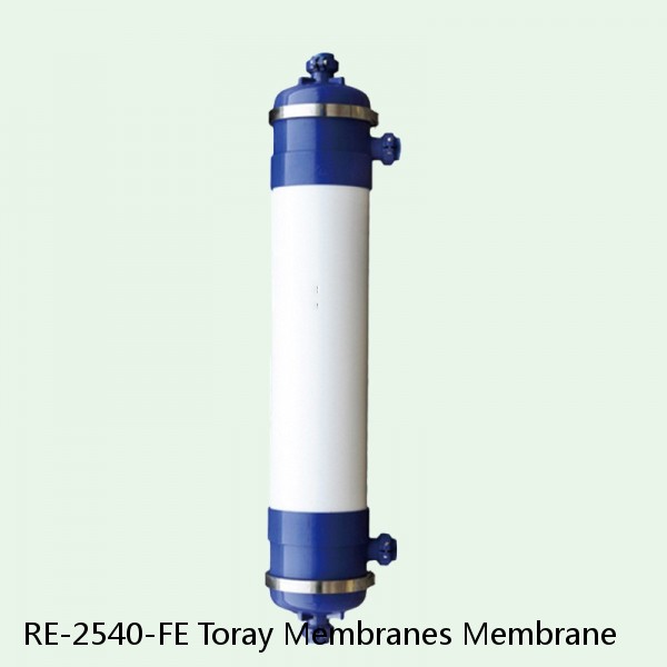 RE-2540-FE Toray Membranes Membrane #1 image