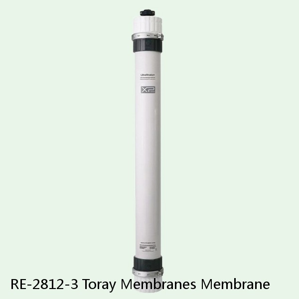 RE-2812-3 Toray Membranes Membrane #1 image