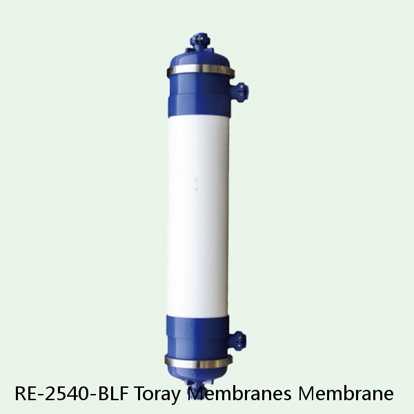 RE-2540-BLF Toray Membranes Membrane #1 image