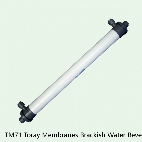 TM71 Toray Membranes Brackish Water Reverse Osmosis Element #1 image