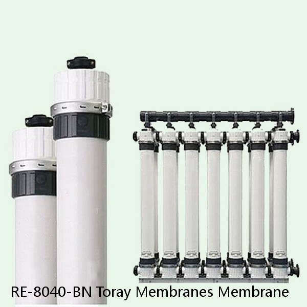 RE-8040-BN Toray Membranes Membrane #1 image