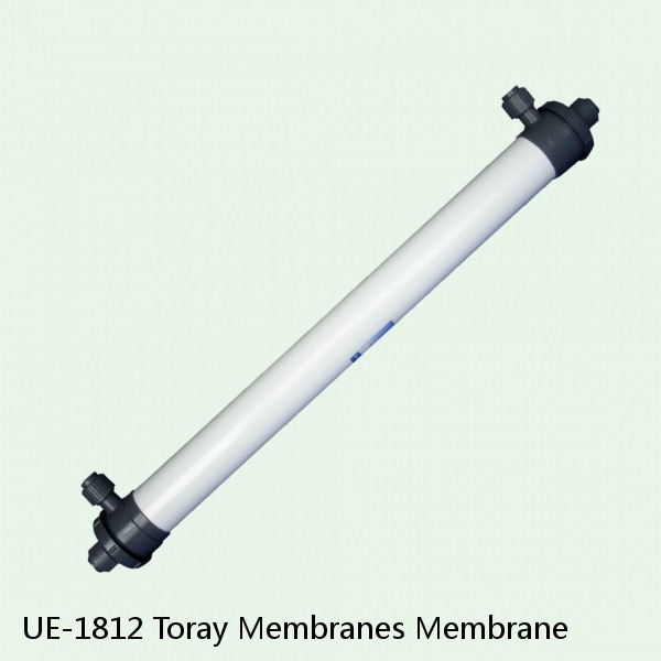 UE-1812 Toray Membranes Membrane #1 image