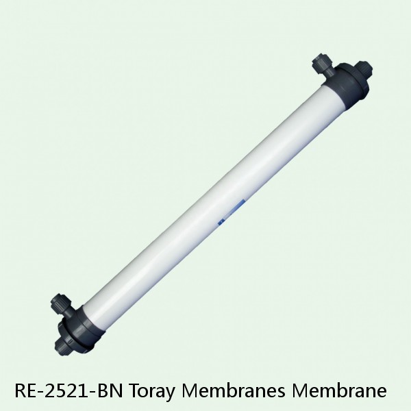 RE-2521-BN Toray Membranes Membrane #1 image
