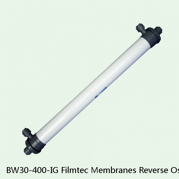 BW30-400-IG Filmtec Membranes Reverse Osmosis Element #1 image