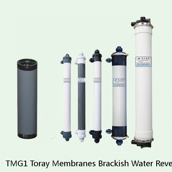 TMG1 Toray Membranes Brackish Water Reverse Osmosis Element #1 image