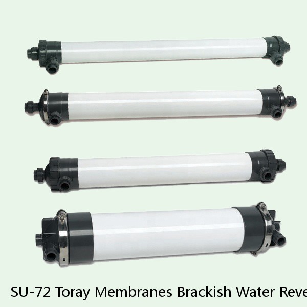 SU-72 Toray Membranes Brackish Water Reverse Osmosis Element #1 image