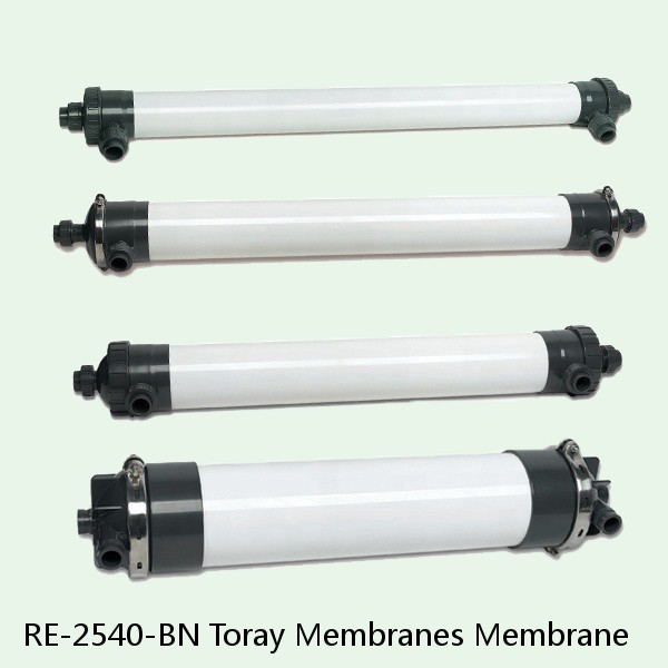 RE-2540-BN Toray Membranes Membrane #1 image