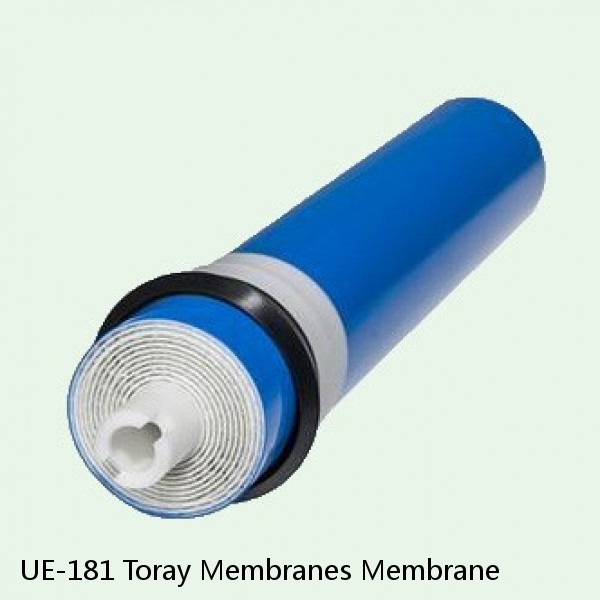 UE-181 Toray Membranes Membrane #1 image